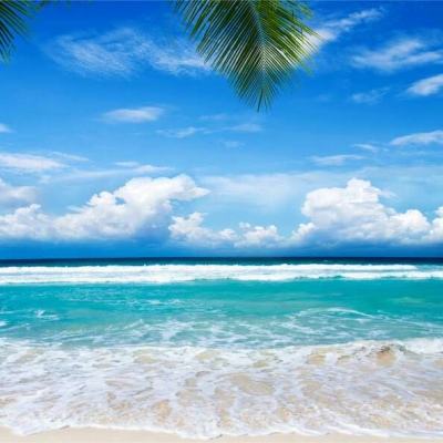 彩信平台官网手机app下载